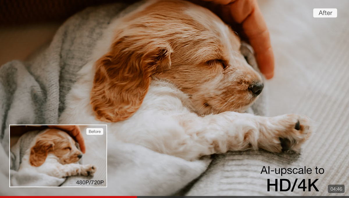 Black Friday Deal: Bring Videos/Images Back to Life with VideoProc Converter AI