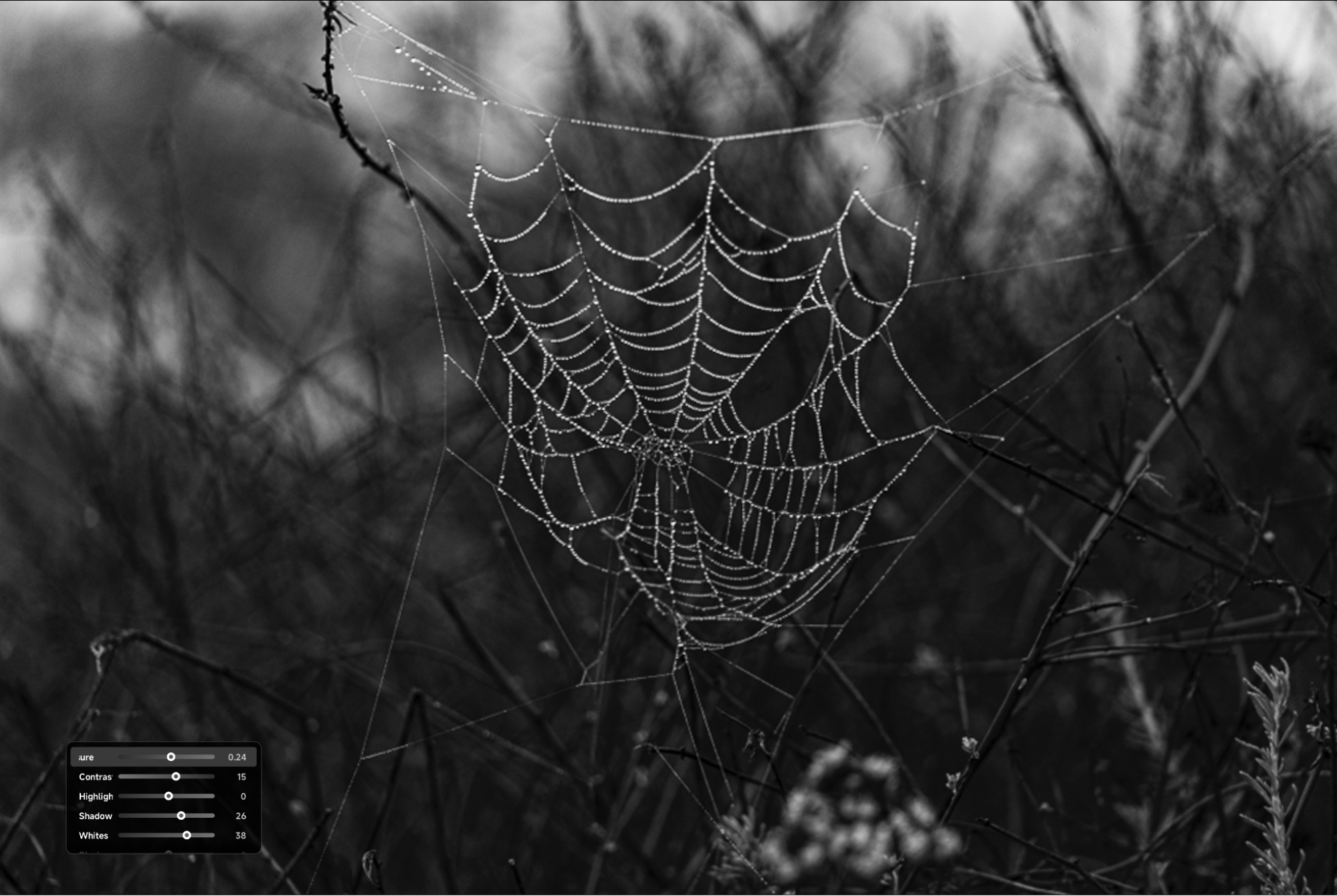 TourBox Elite Plus Review | A Versatile New Creative Controller