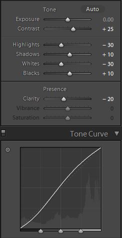 Standard B&W - Basic Adj & Curve