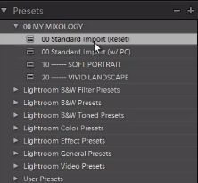 03-lightroom-4-standard-import-preset