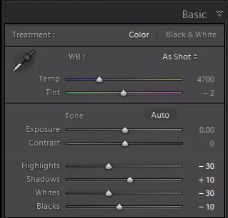 04-lightroom-4-standard-color-preset-settings-basic-panel