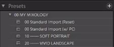 11-lightroom-4-presets-panel-category-organized