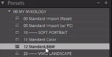 07-lightroom-4-black-and-white-preset-presets-panel