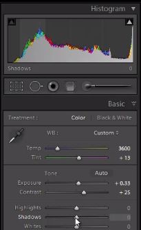 13-lightroom-4-shadows-histogram