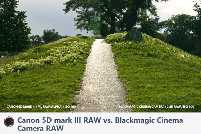 5DmkIII-RAW-vs-BMCC-RAW