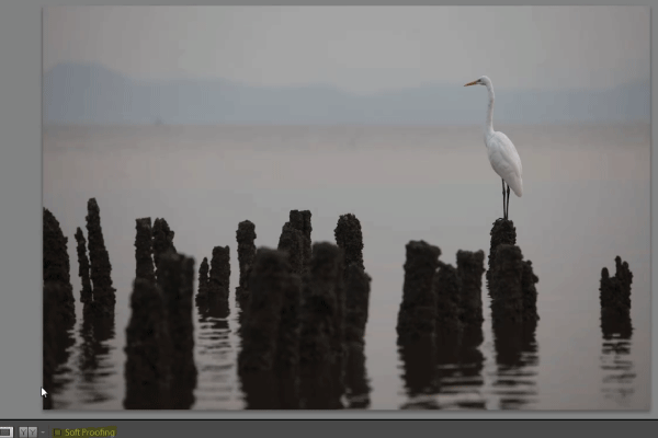 Soft Proofing: A New Feature in the Develop Module Toolbar in Lightroom 4