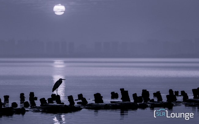Creating Black and White Silhouette With Blue Toning – Weekly Ordinary To Extraordinary Lightroom Edit – E16
