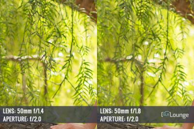 Canon 50mm 1.2 vs 1.4 vs 1.8 - Lens Wars 50mm Primes - Episode 6