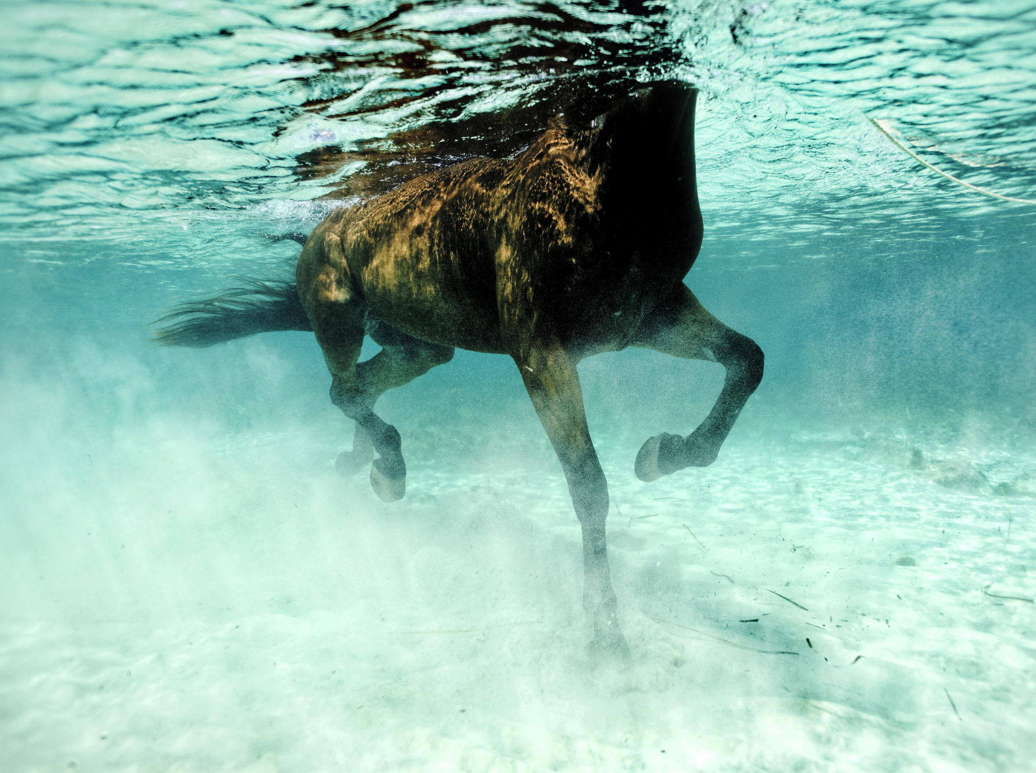 © Kurt Arrigo