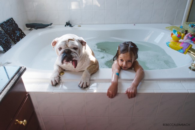 The Fantastic Friendship of 4-Year-Old Harper and Her Bulldog, Lola