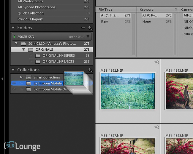 lightroom-mobile-ipad-review-slr-lounge-43