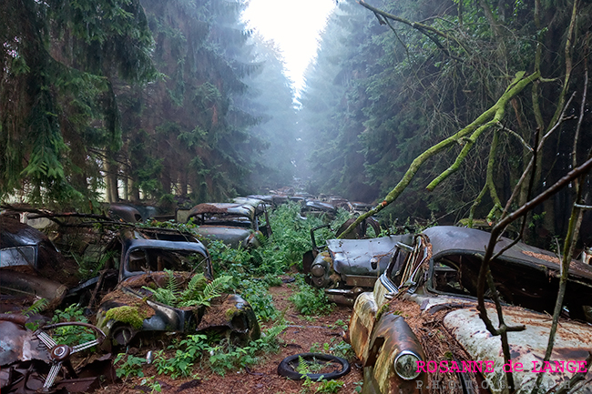 Chatillon Car Graveyard Looks Like a Dream UrbEx Location