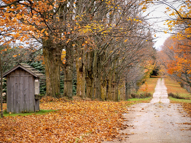 fall-foliage-photography-tips