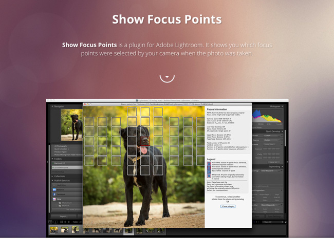 lightroom-focuspoints-plugin-tool-photography-1