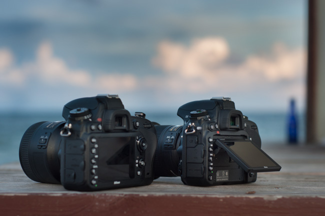 Best Nikon Sale | Maybe The Best Time To Buy Nikon’s Top Performers