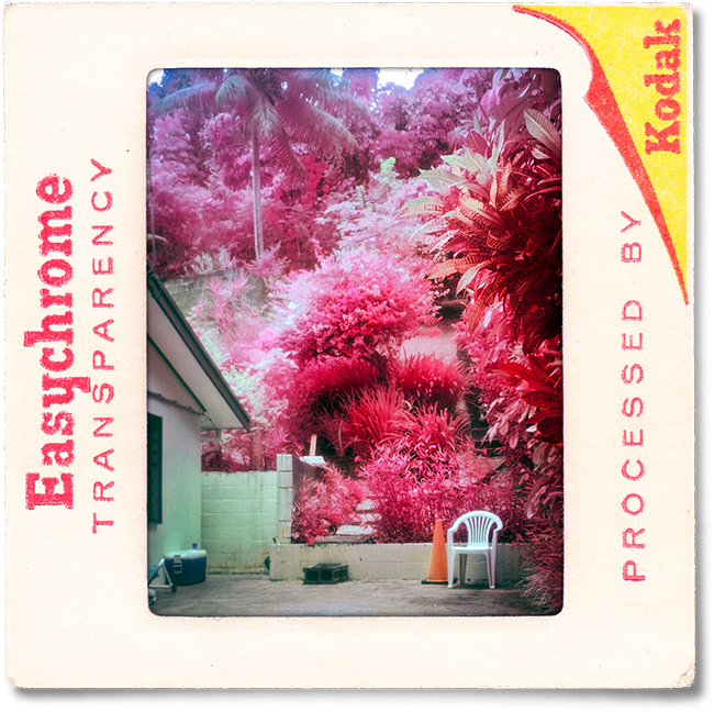 infrared color film