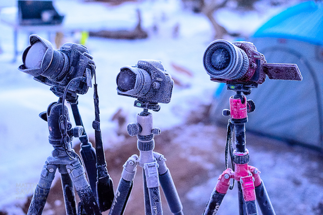 Cold Weather Photography Tips | How to Defrost and Save a Frozen Camera