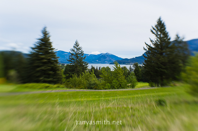 lensbaby-composer-pro-35-optic-reivew-columbia-river-gorge