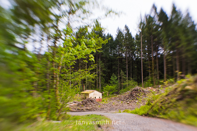 lensbaby-composer-pro-35-optic-reivew-skamania-lodge