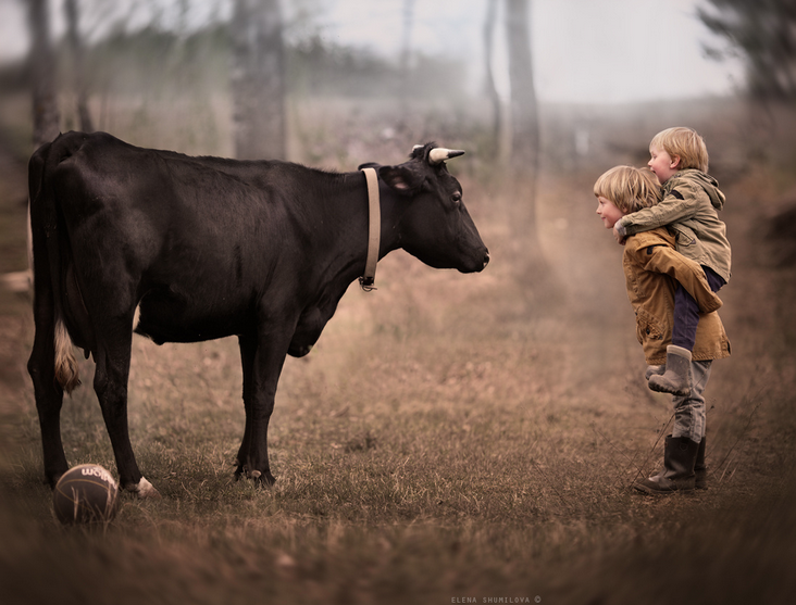 Elena-Shumilova-14