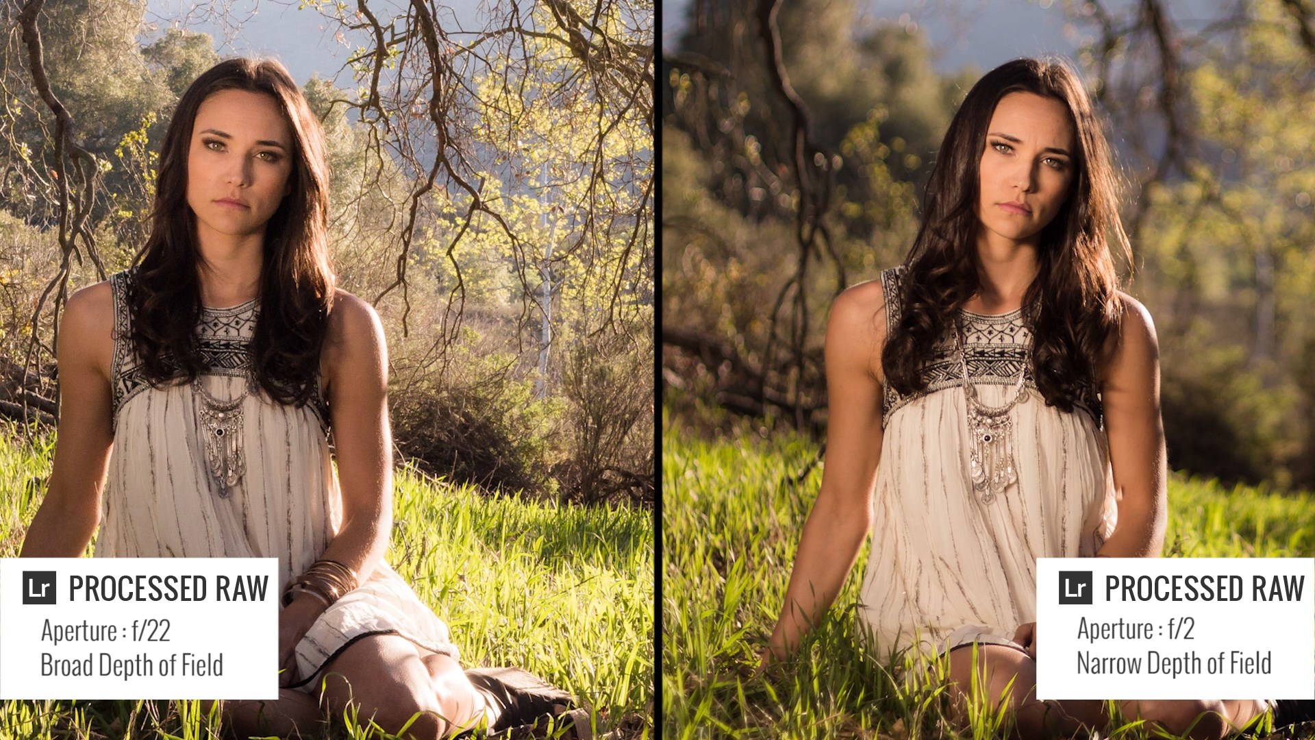 How Does a Camera Work? | Basic Photography Guide