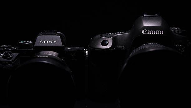 Sony a7R II vs Canon 5DS | A Quick Comparison