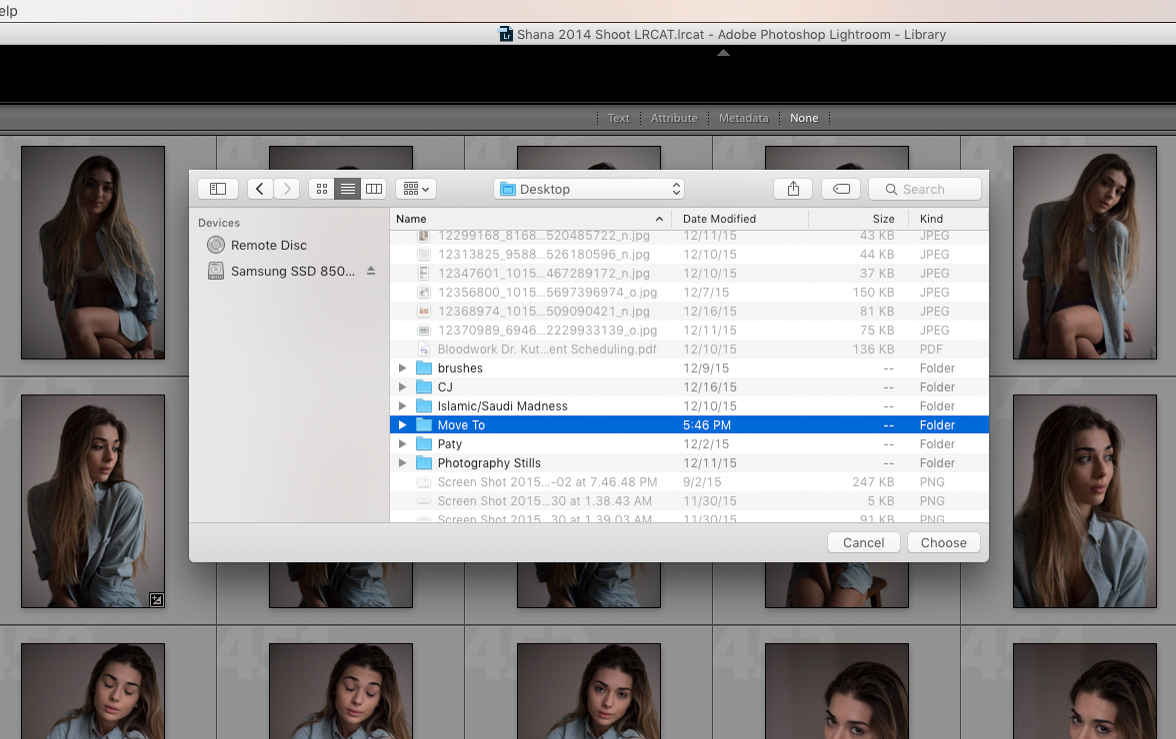 How To Move Images From One Lightroom Catalogue To Another