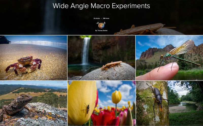 difference between wide angle and macro lens