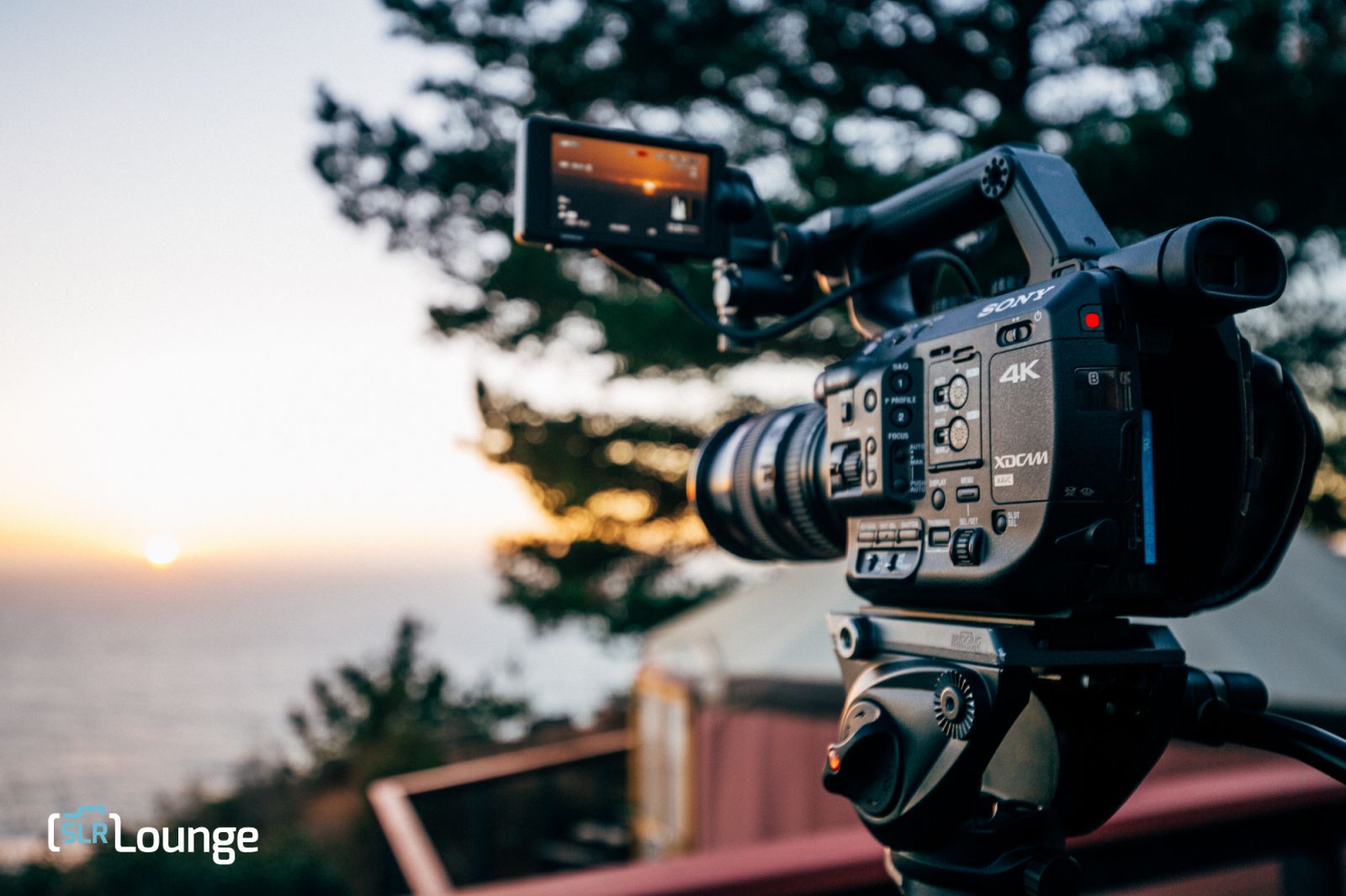 Sony FS5 Initial Impressions & Sample Footage