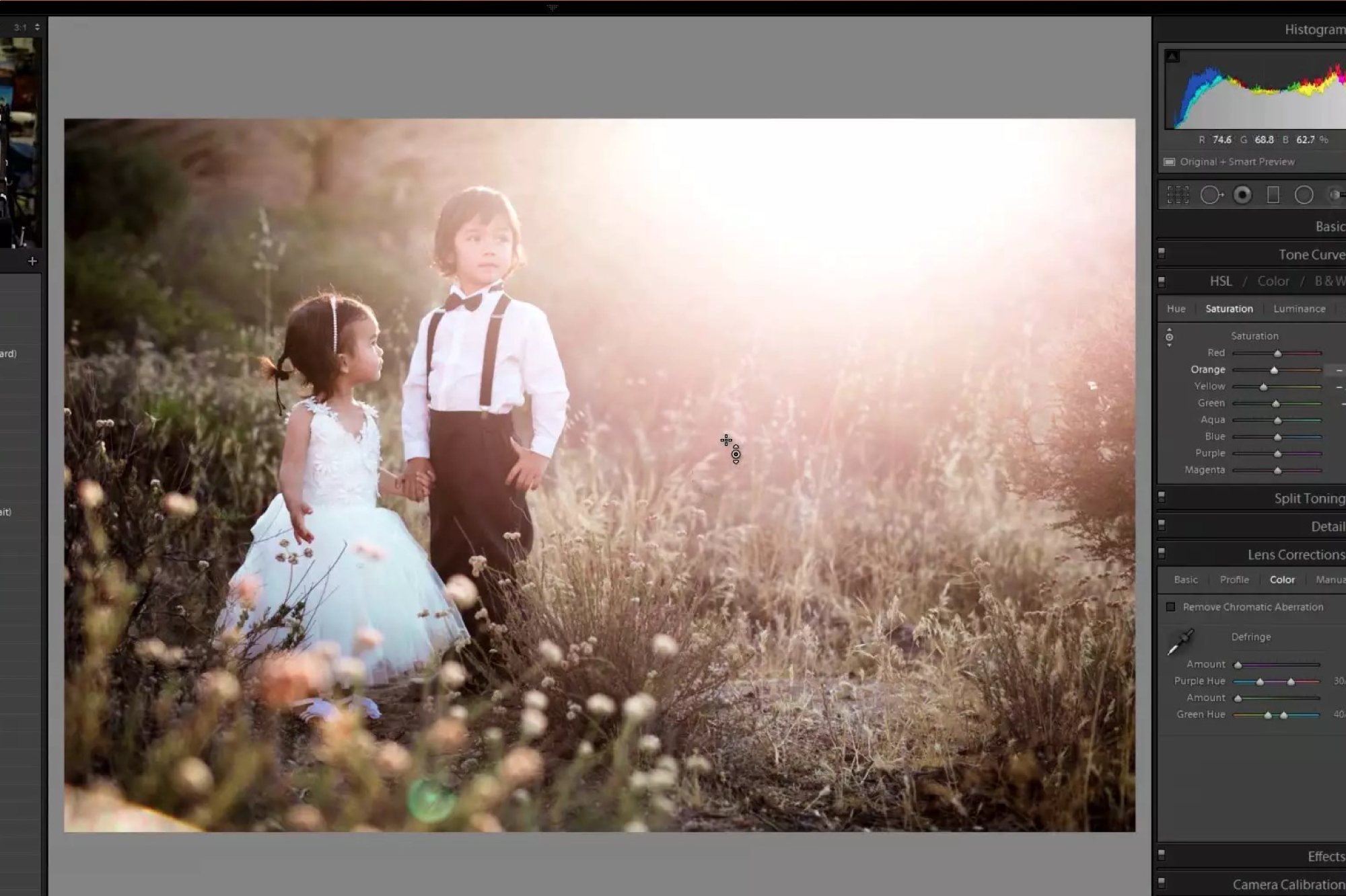 Lightroom 101: Lightroom CC Crash Course: Advanced Color, HSL, B&W and Split Toning