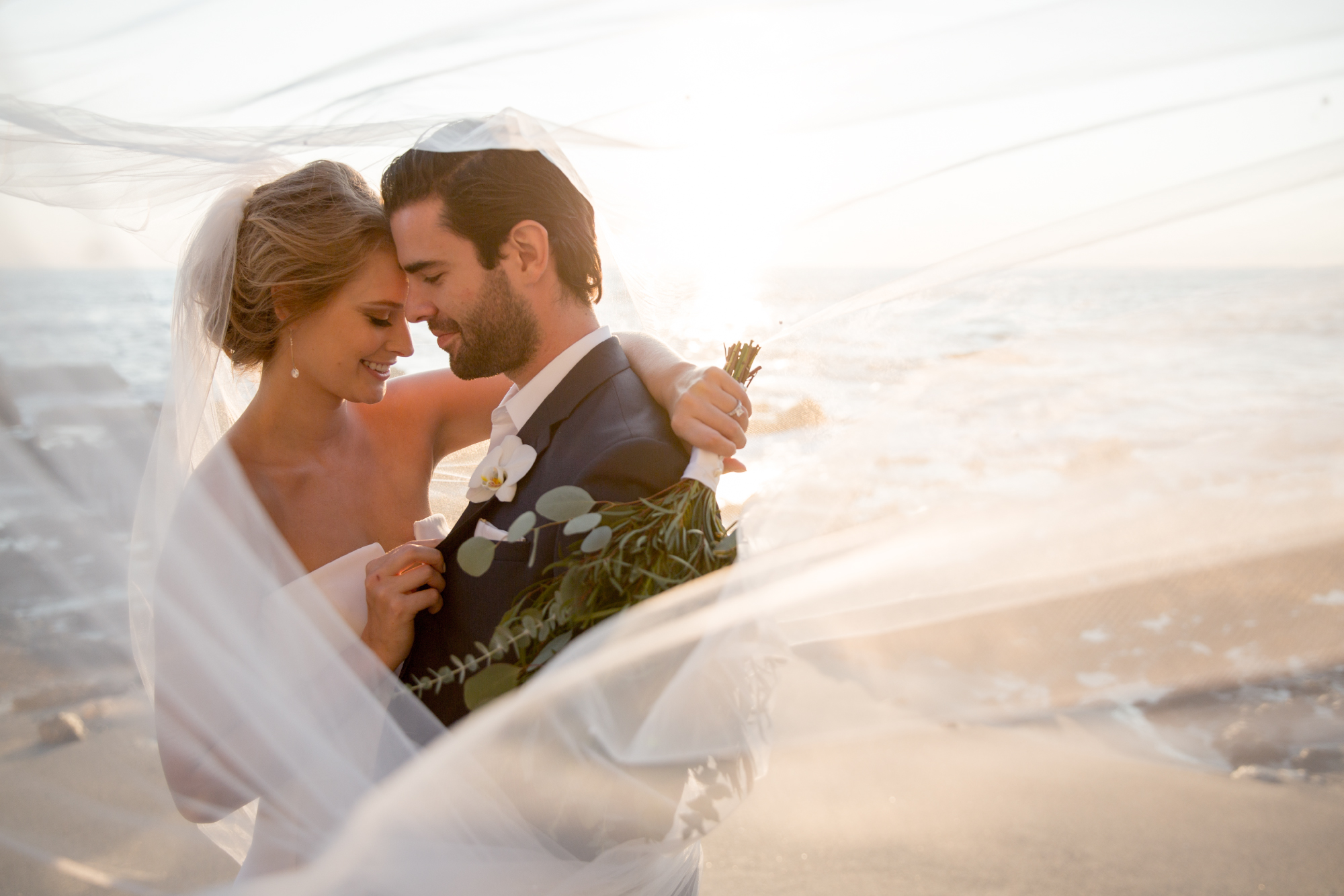 Lightroom 101: Lightroom CC Crash Course: Understanding the Basics of Color Correction with the Basic Panel