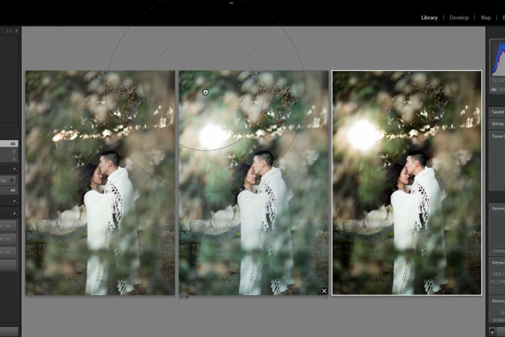 Lightroom 101: Lightroom CC Crash Course: Camera Calibration and Filmic Adjustments
