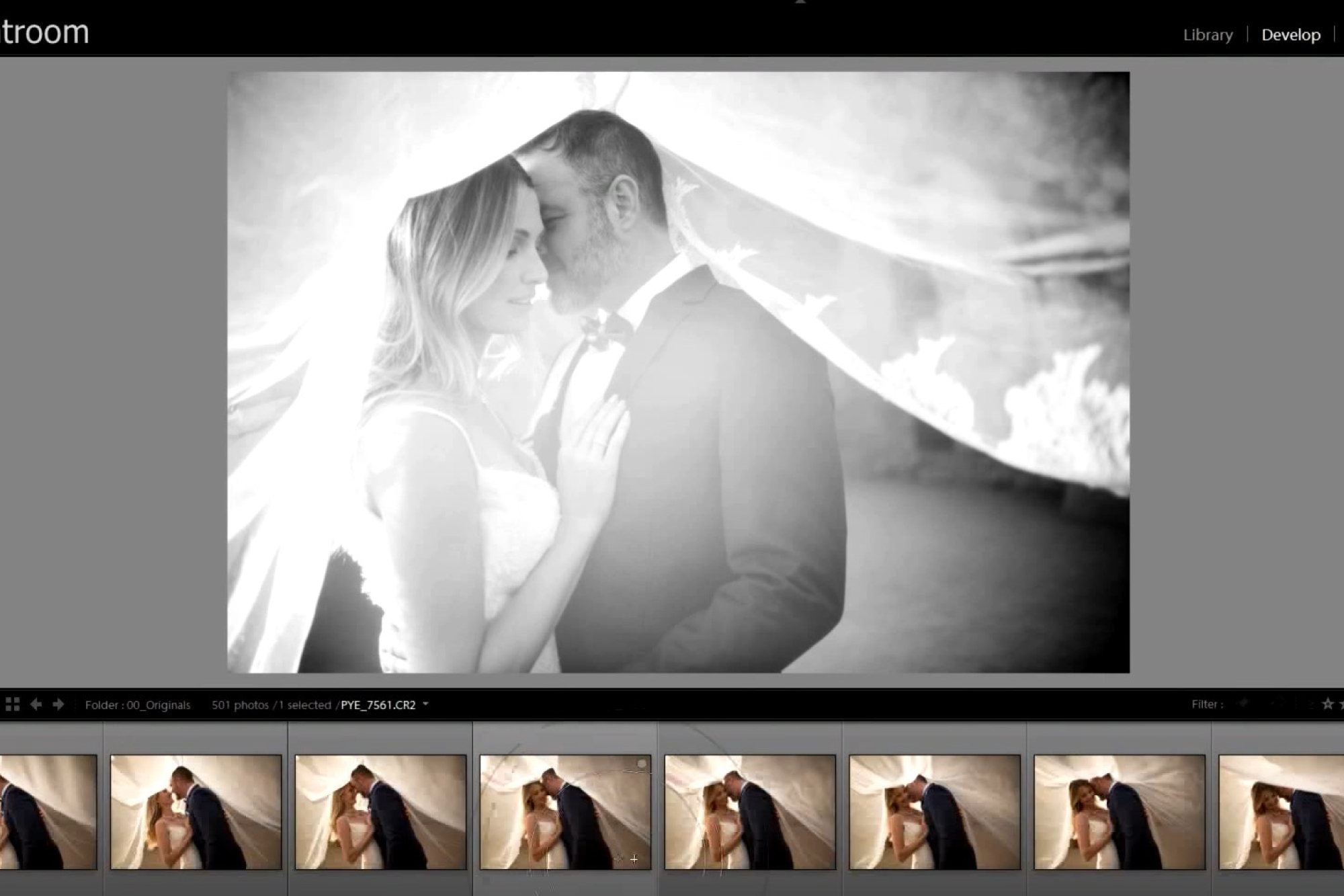 Lightroom 101: Lightroom CC Crash Course: Lightroom’s Three Primary Strengths and Weaknesses