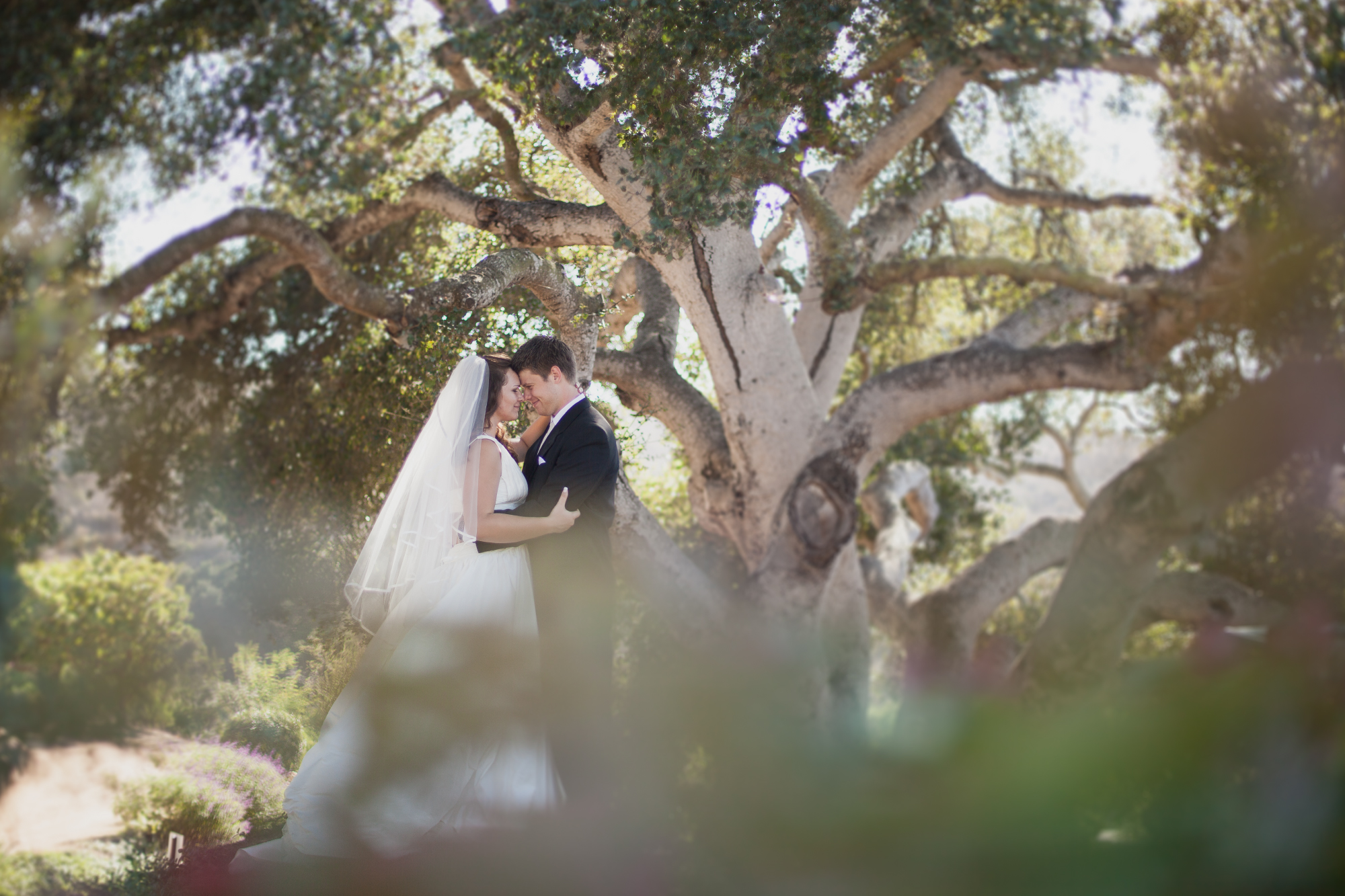 Lightroom Image Processing Mastery: Creating a Tilt Shift Effect