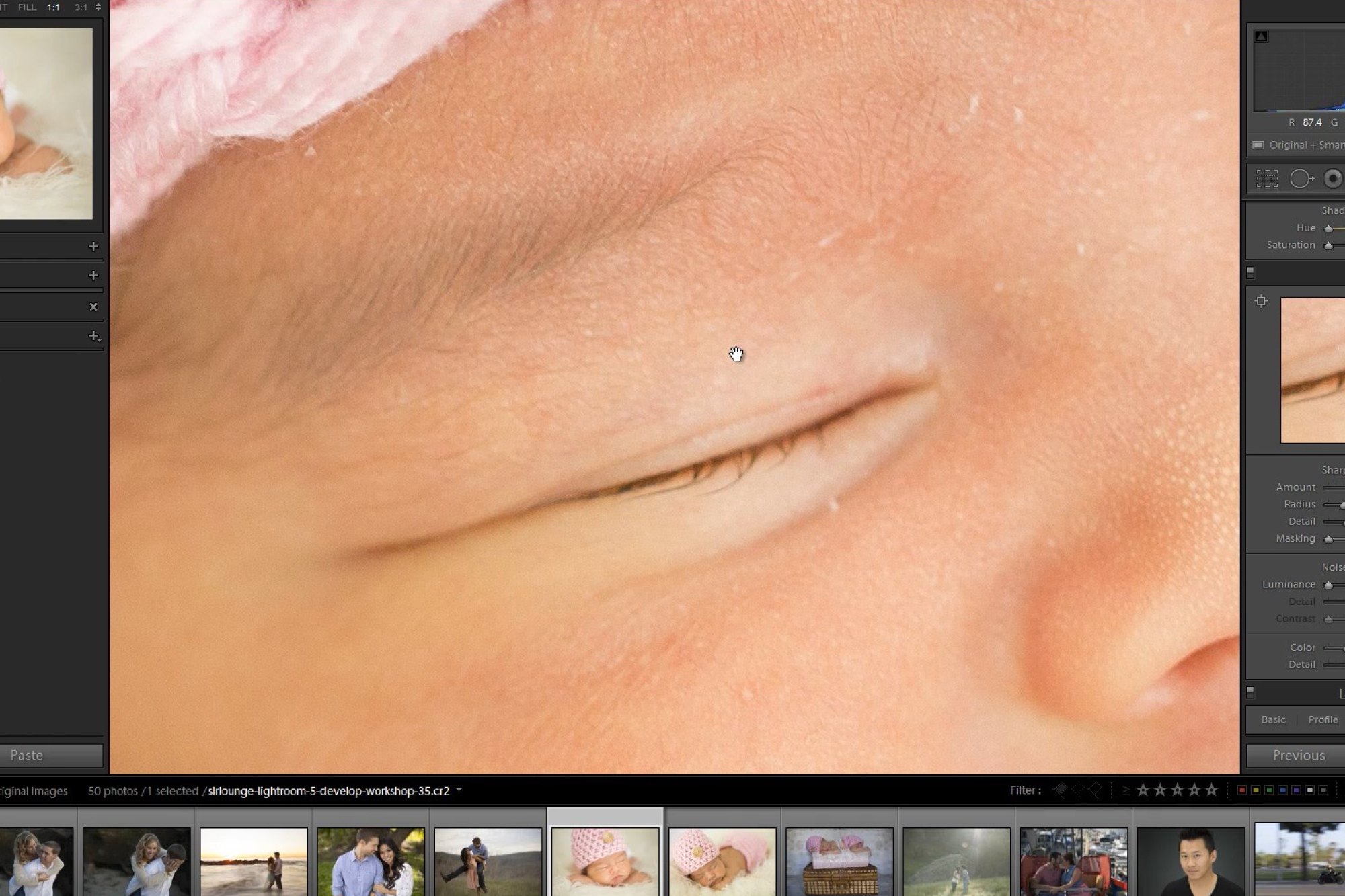Lightroom Image Processing Mastery: Detail