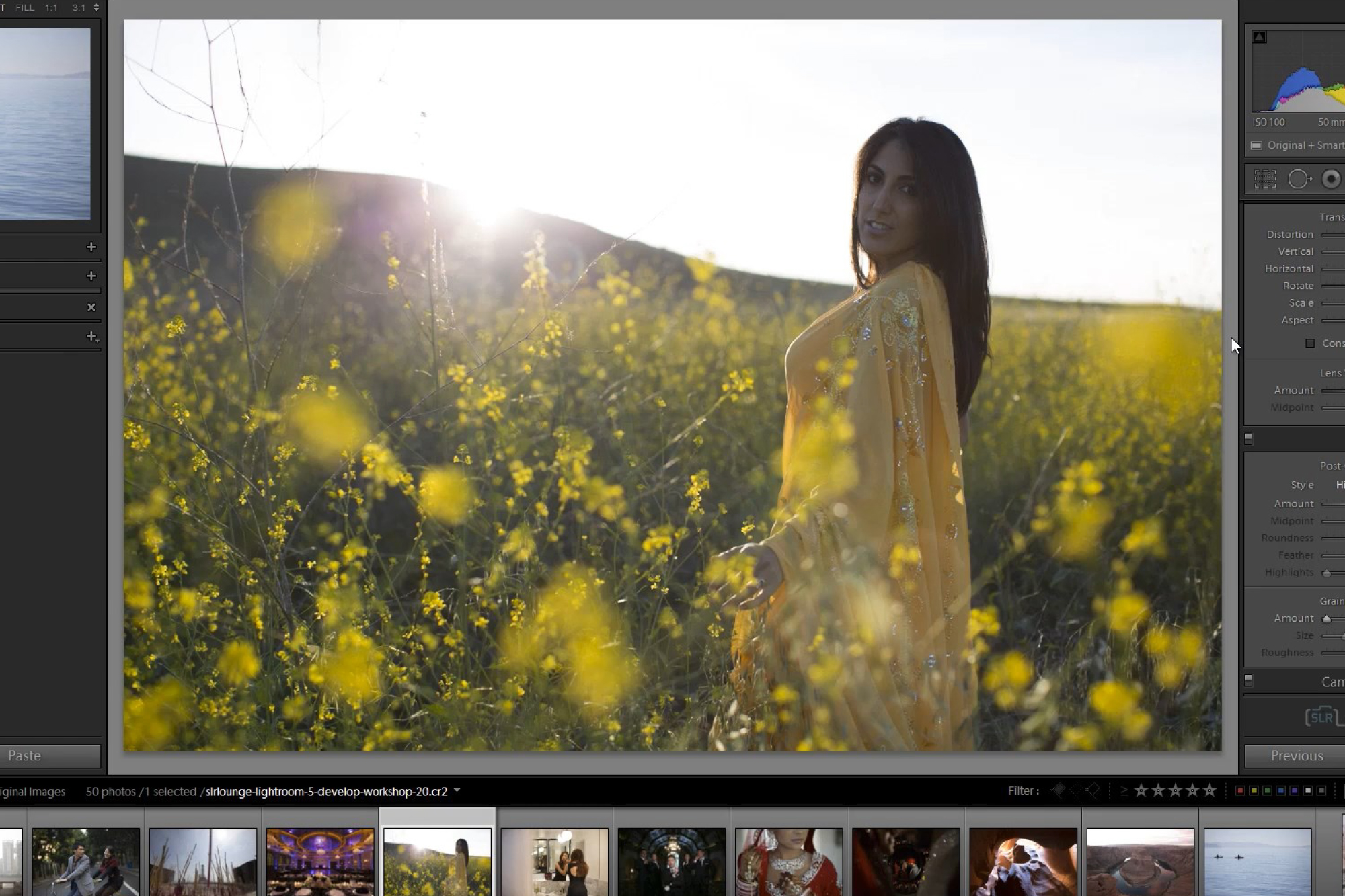 Lightroom Image Processing Mastery: Effects