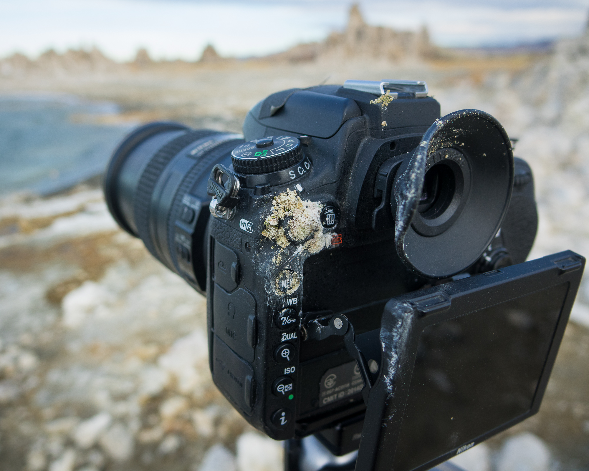 Nikon D750 Review - More Than an Update