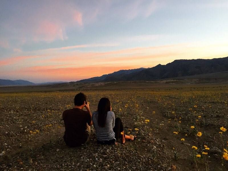 Jason Berry Photographer Death Valley Superbloom