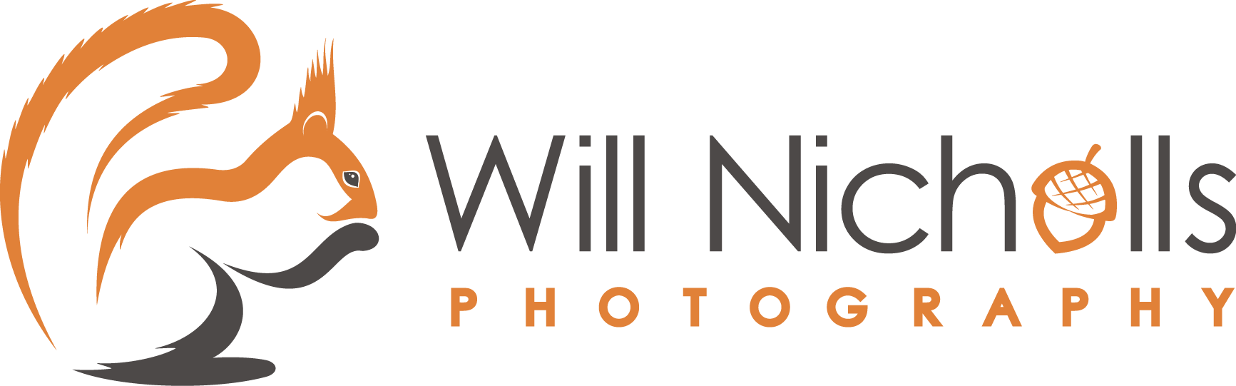 Will Nichols logo horizontal wb