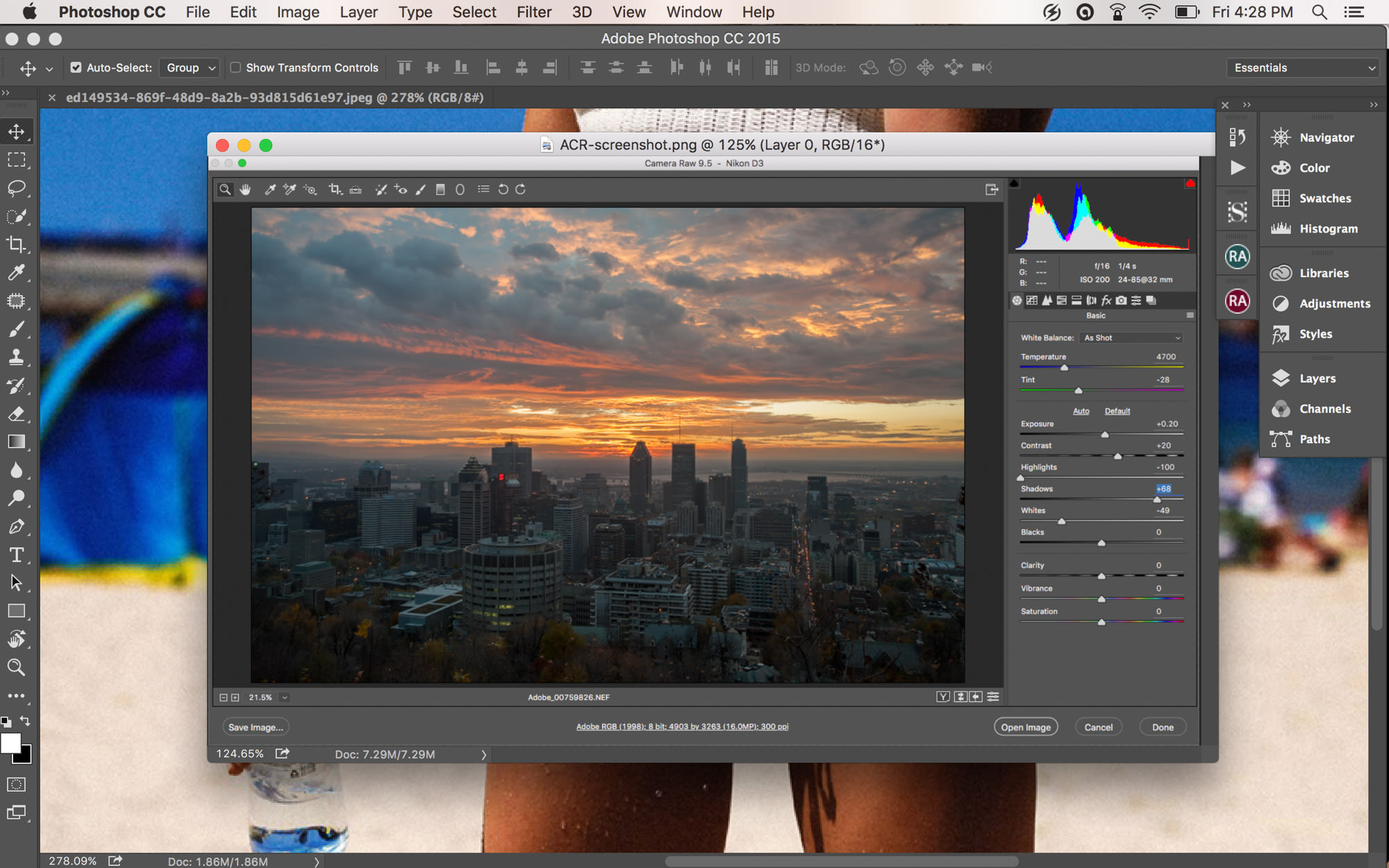 latest adobe camera raw update cs6