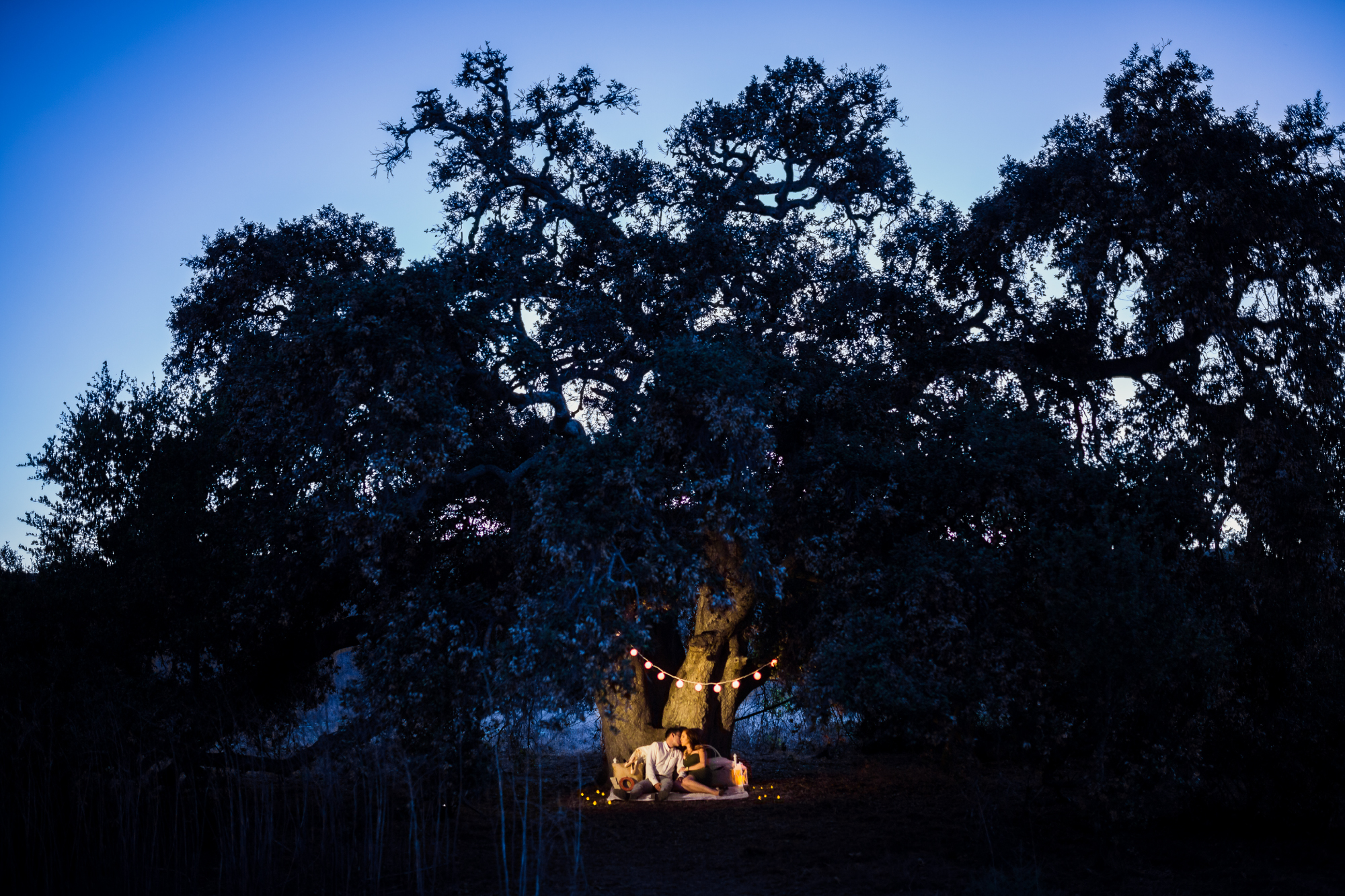 Lightroom 201: Advanced Lightroom CC Processing (for Lightroom Classic): Stylized Dusk Color Toning