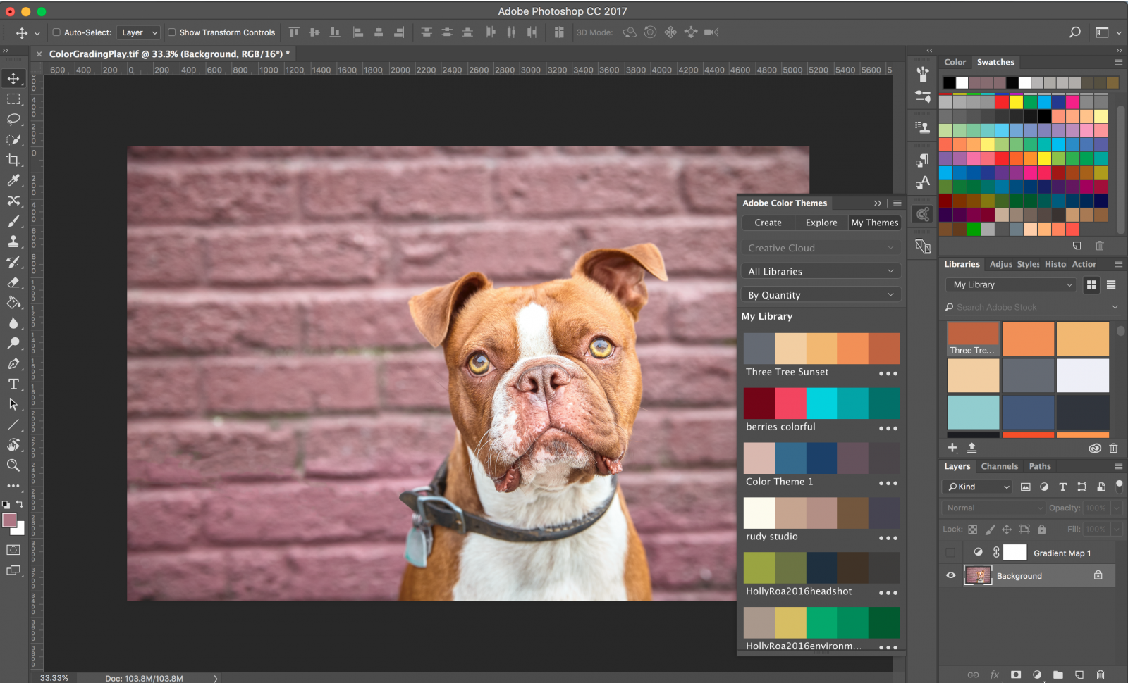 Adobe Color Themes How To Create & Use Them For Color Grading In