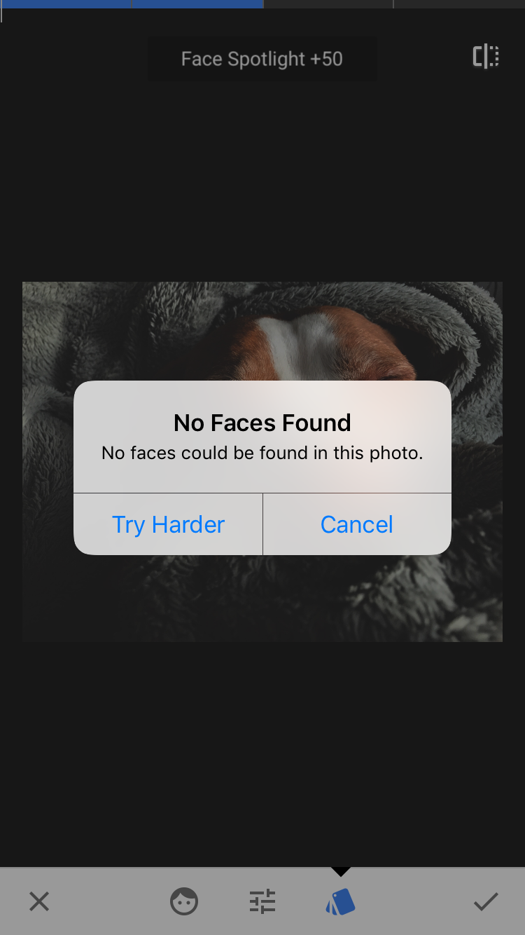 Snapseed Update Curves Is Here