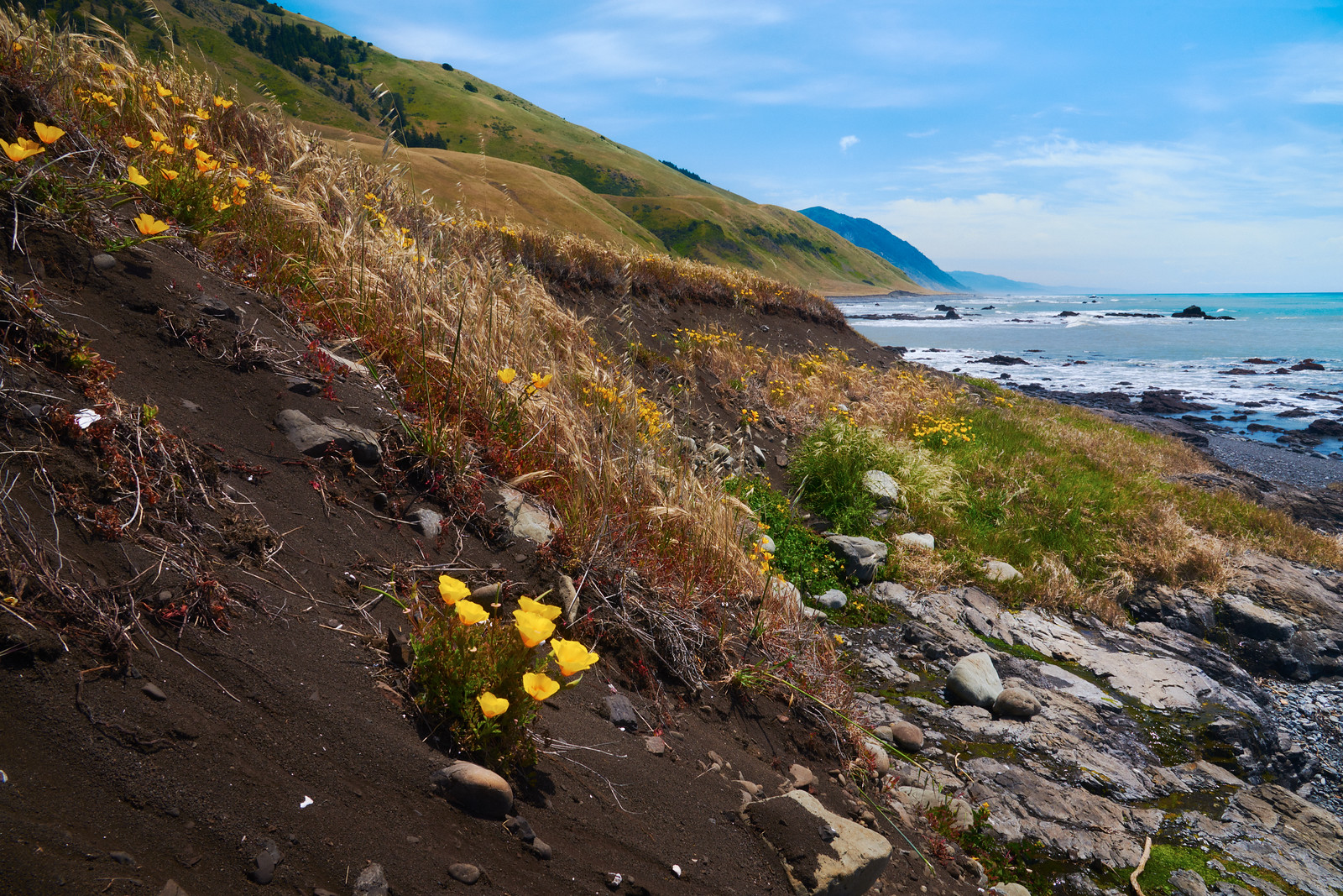 depth of field landscapes