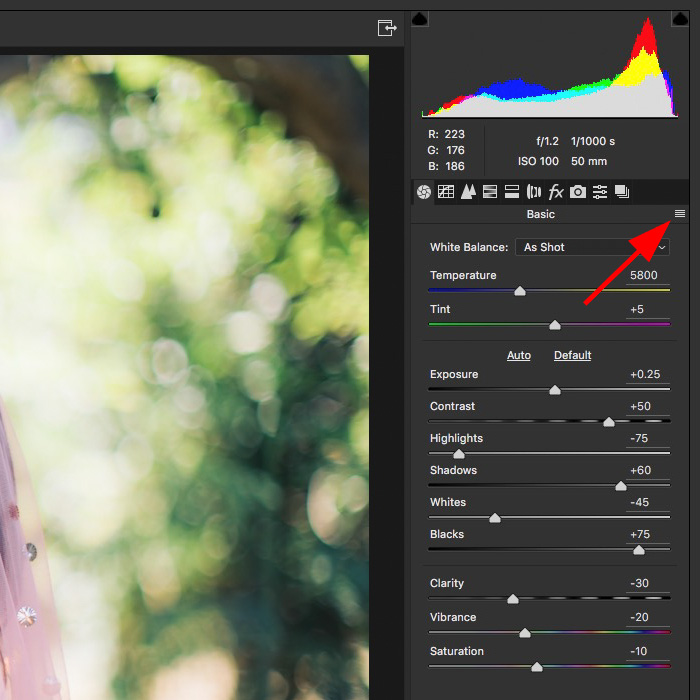 latest adobe camera raw update cs6