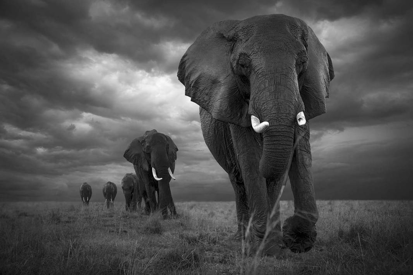2018 Sony World Photography Awards Shortlist Images Inspire