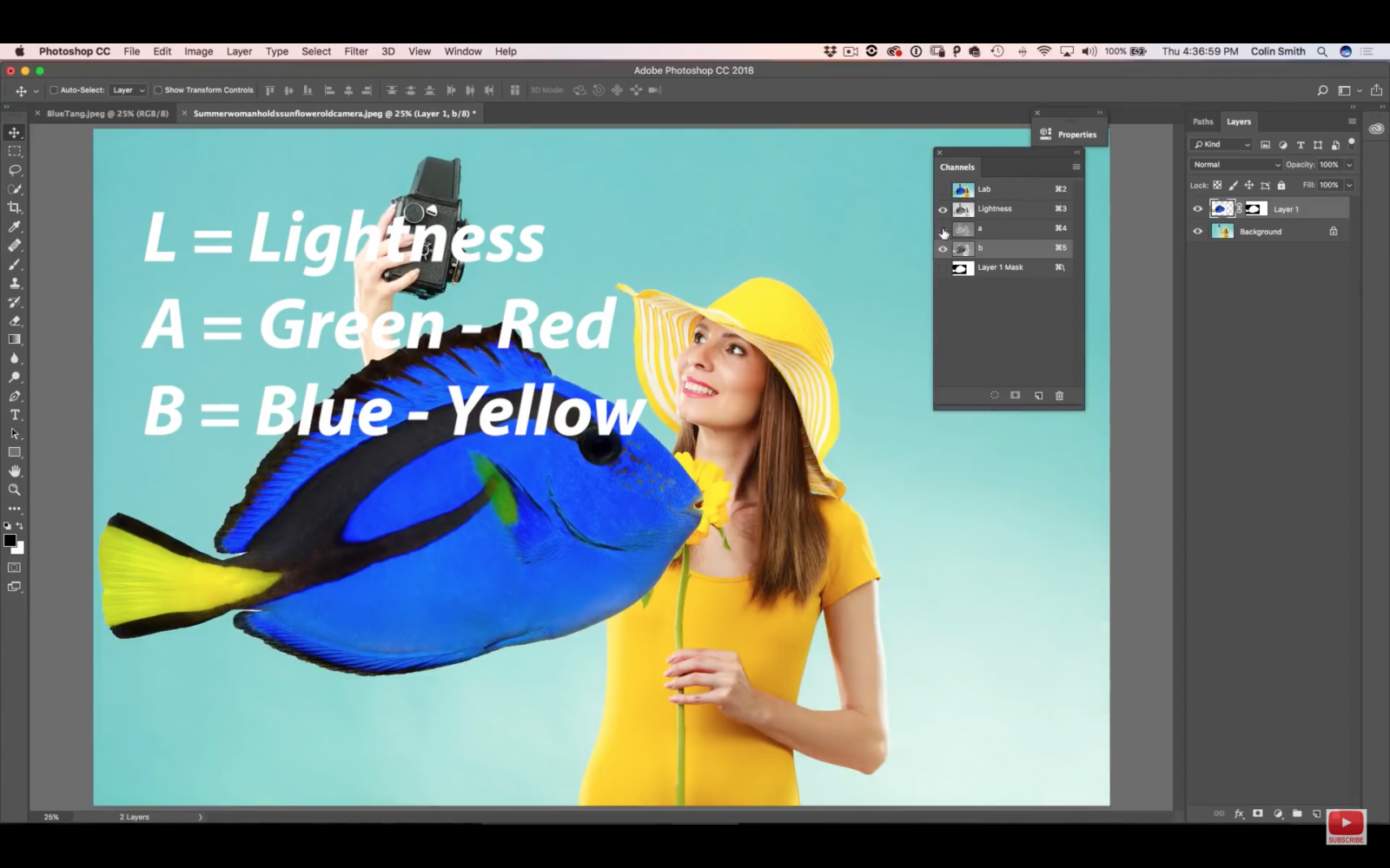 Tips How To Match Colors In