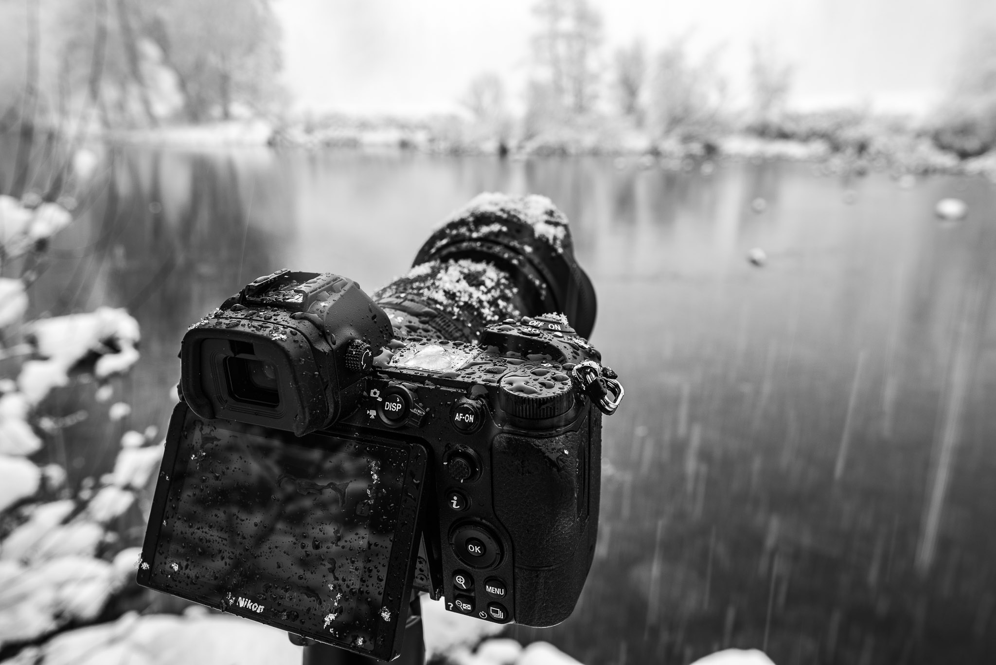What Is The Best Camera For Landscape Photography Nikon, Canon, Sony