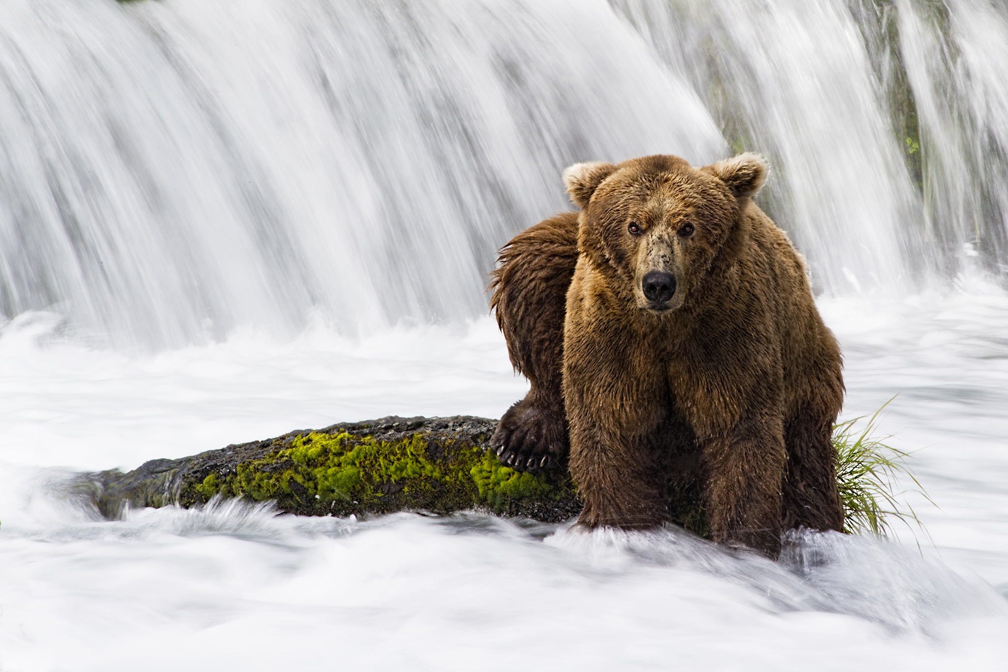 Photography Travel Tips, with Nikon Ambassador Kristi Odom | Fundy Designer Artist Feature