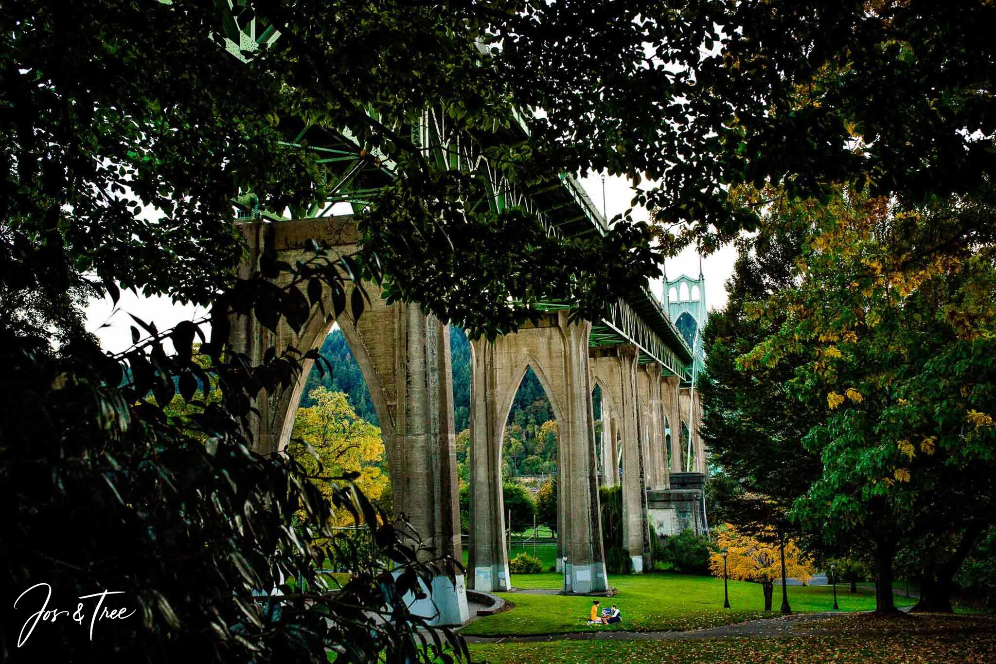 Couple in Cathedral Park in Portland, Oregon